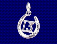 Sterling Silver 13 In Horseshoe Birthday charm